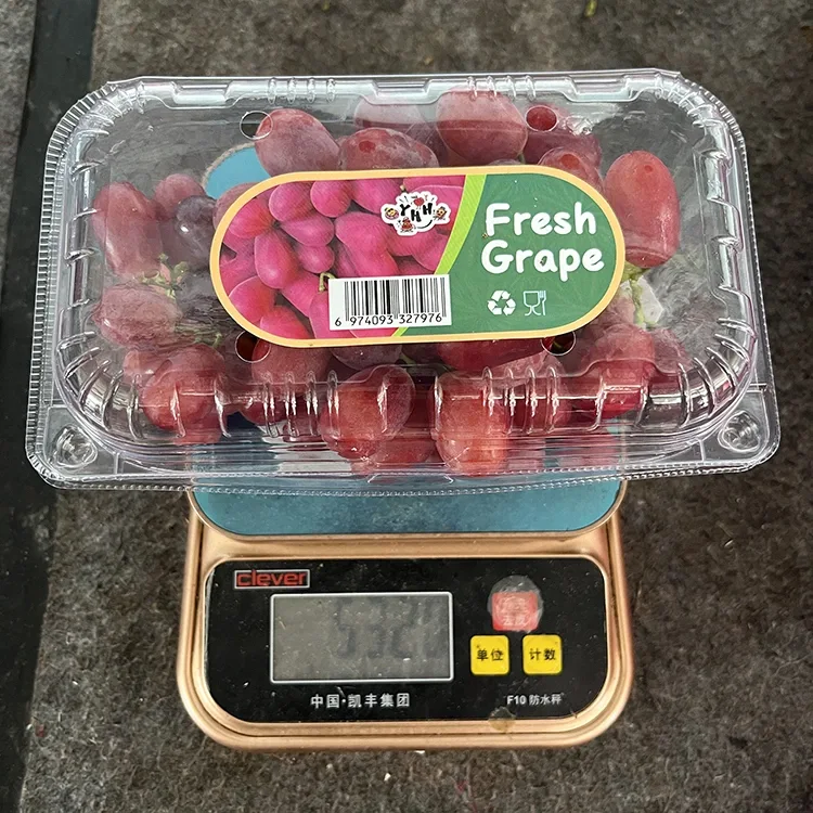 Export čerstvé karmínové hrozny bez pecek