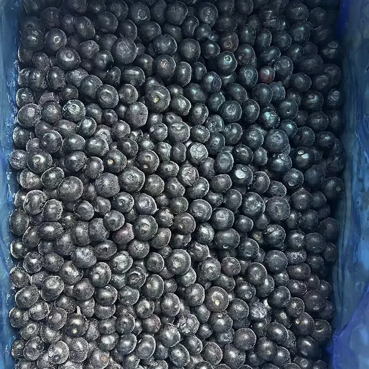 Mražené borůvky Premium IQF Borůvky