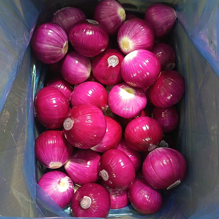 Vysoce kvalitní loupaná cibule