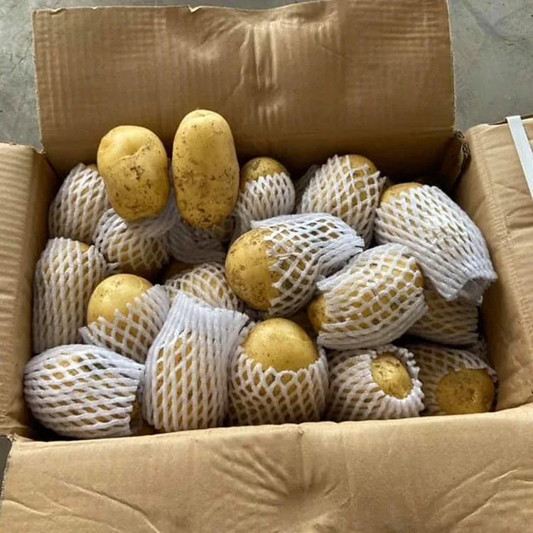 Firm Fresh Potatoes