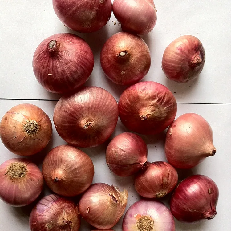 Prémiová čerstvá červená cibule