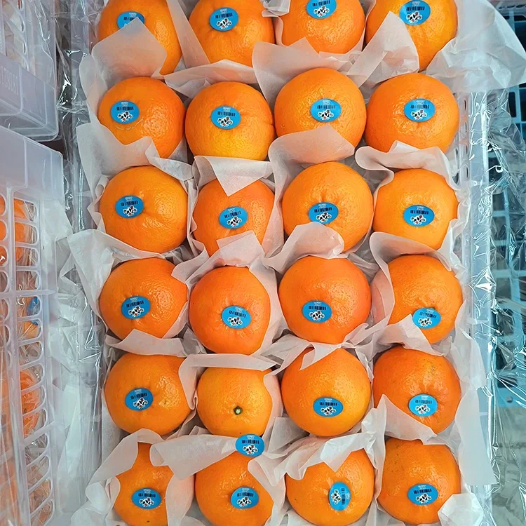 Prémiové čerstvé sladké woganské mandarinky