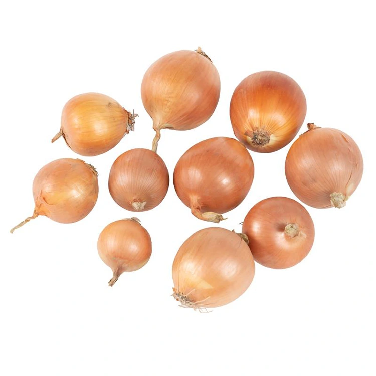 Prémiové čerstvé žluté cibule
